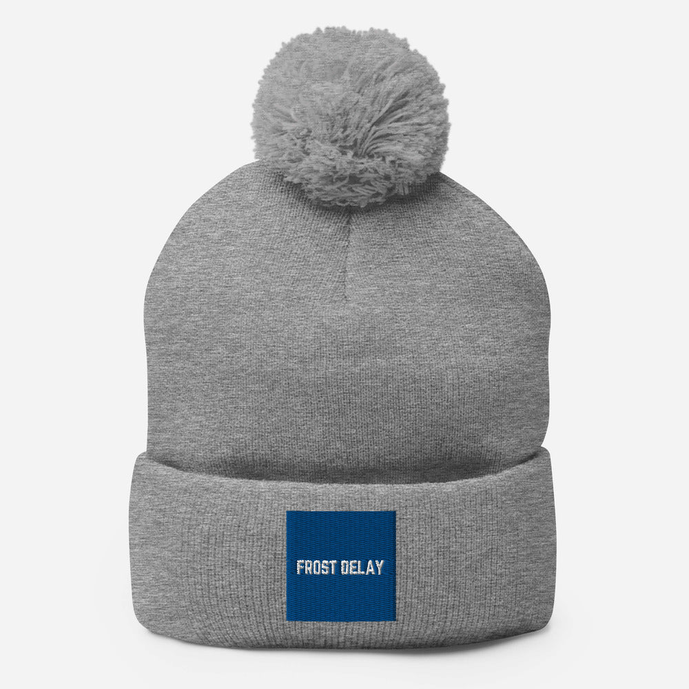 Frost Delay Pom-Pom Beanie